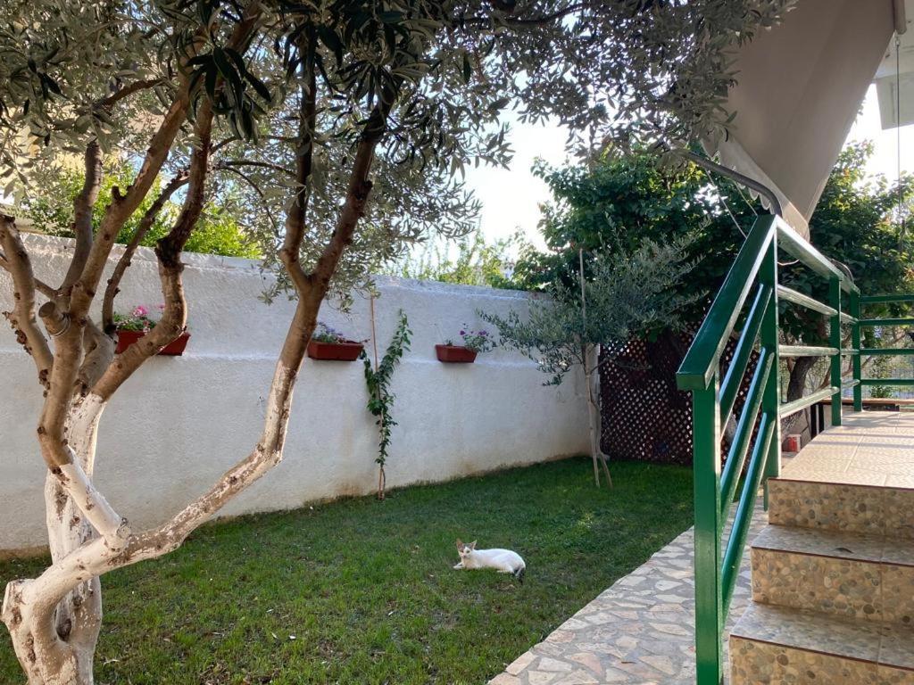 Appartement Ergys Ksamil